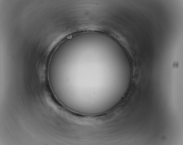 X0000111250012200907091434