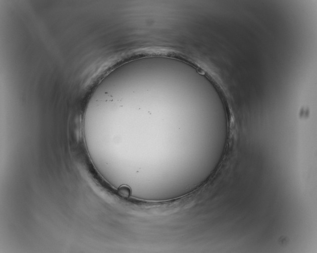 X0000111250013200907091434