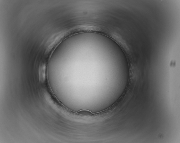 X0000111250014200907091434