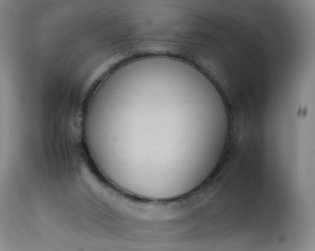 X0000111250016200907091434