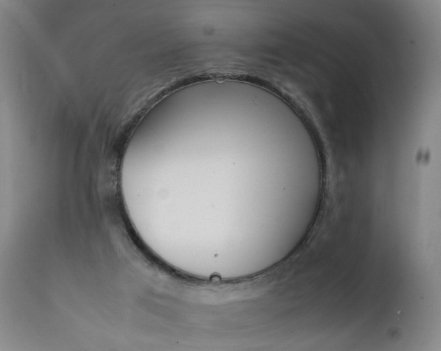 X0000111250017200907091434