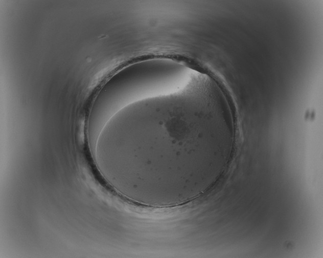 X0000111250019200907091434