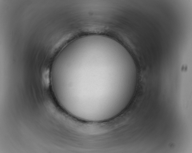 X0000111250020200907091434