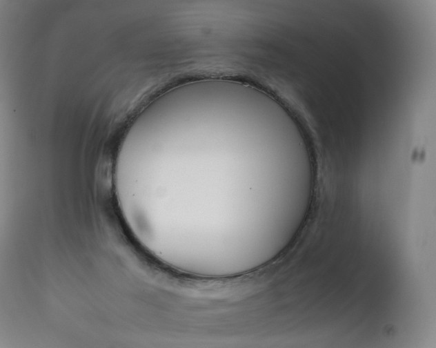 X0000111250021200907091434