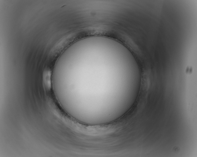 X0000111250022200907091434