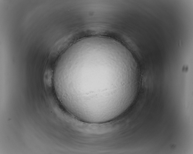 X0000111250026200907091434