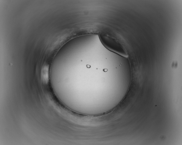 X0000111250028200907091434