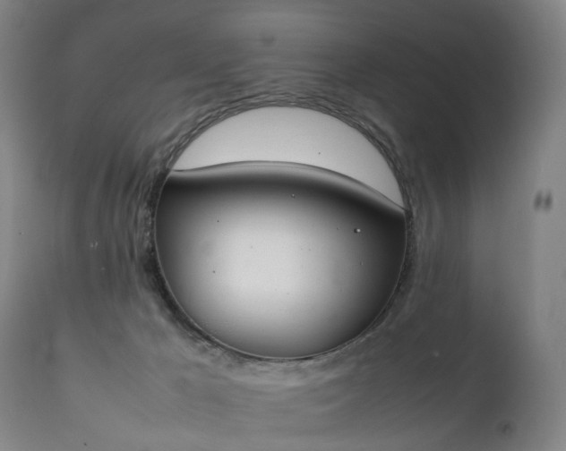 X0000111250029200907091434