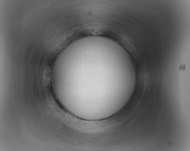 X0000111250030200907091434