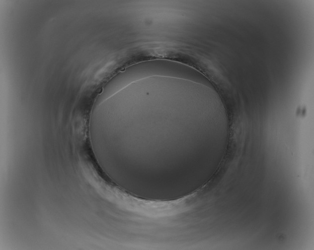 X0000111250031200907091434