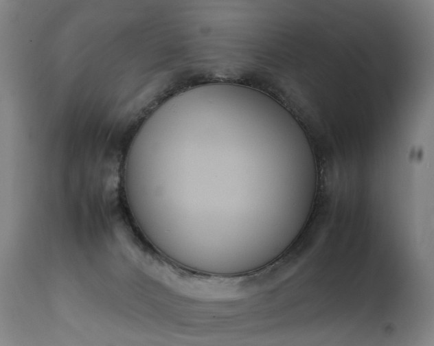 X0000111250032200907091434