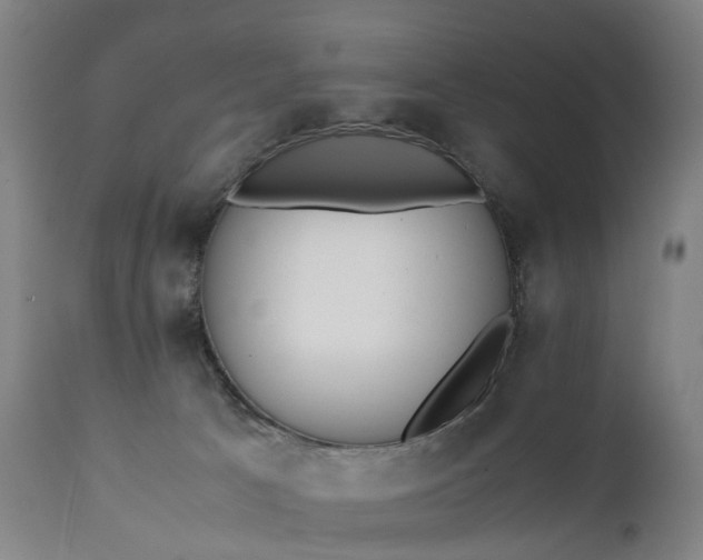 X0000111250033200907091434