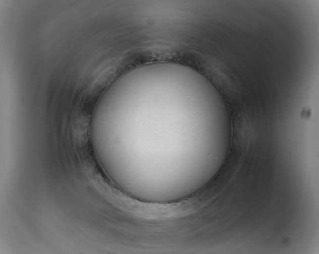 X0000111250034200907091434