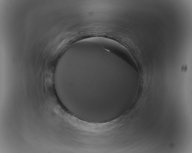 X0000111250035200907091434