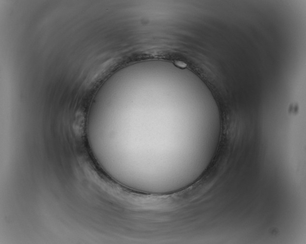 X0000111250036200907091434