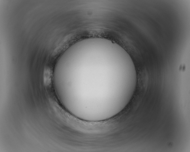 X0000111250038200907091434