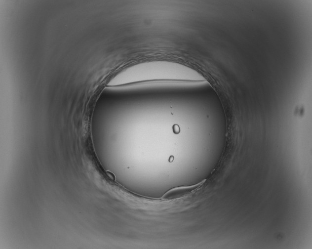 X0000111250039200907091434