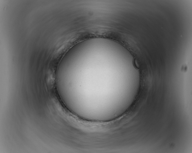 X0000111250040200907091434