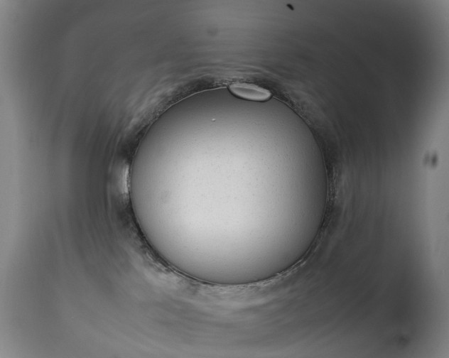 X0000111250041200907091434