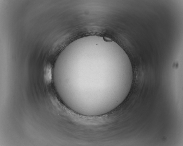 X0000111250042200907091434