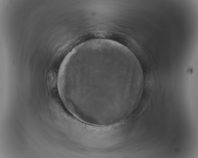 X0000111250043200907091434