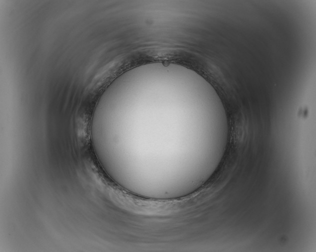 X0000111250044200907091434