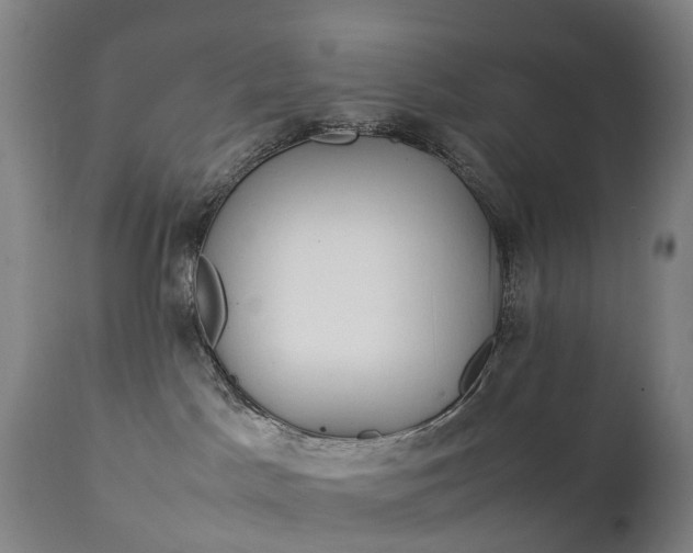 X0000111250045200907091434