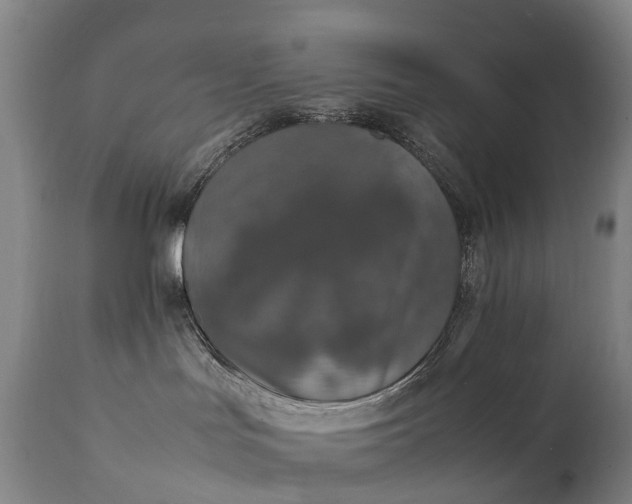 X0000111250047200907091434