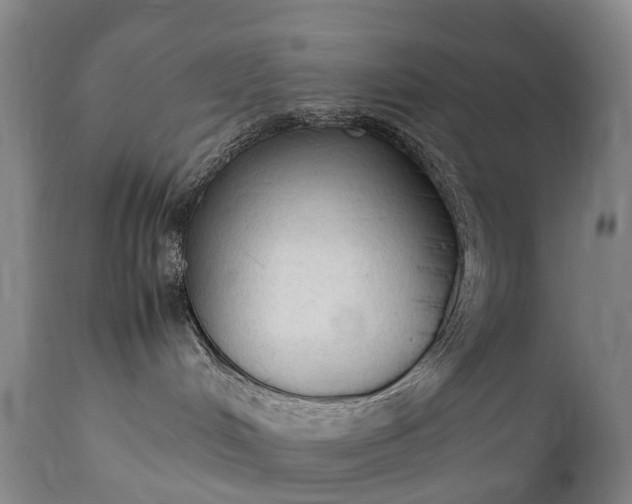 X0000111250048200907091434