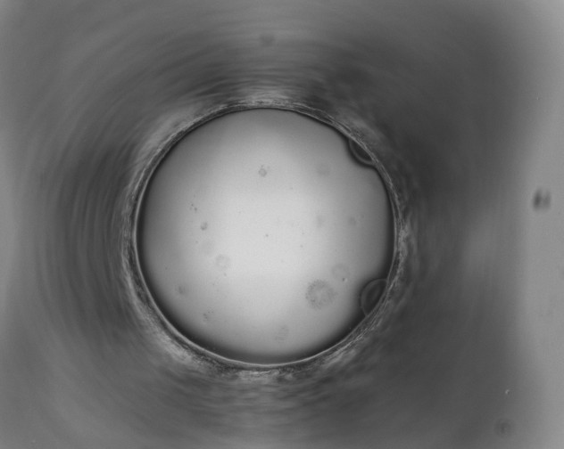 X0000111250049200907091433