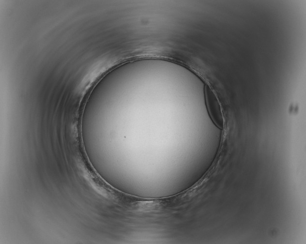 X0000111250050200907091433