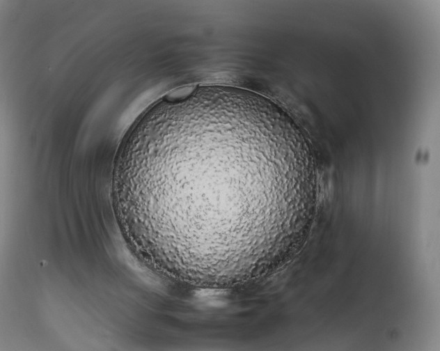 X0000111250051200907091433