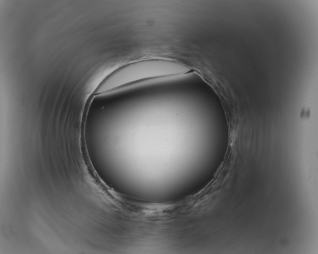 X0000111250052200907091433