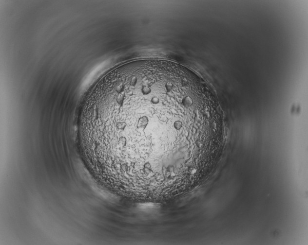 X0000111250053200907091433