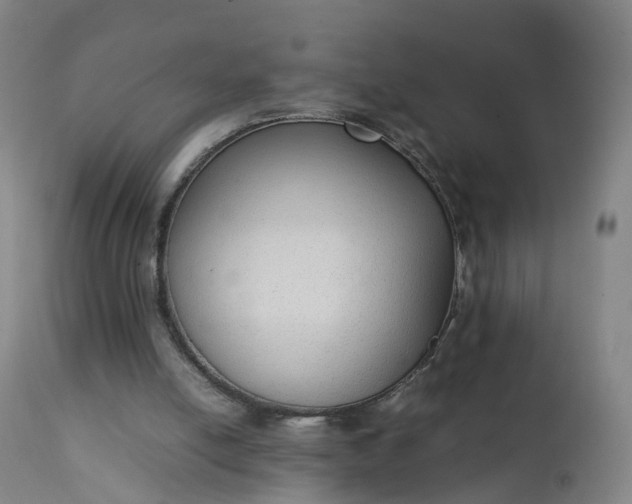 X0000111250054200907091433