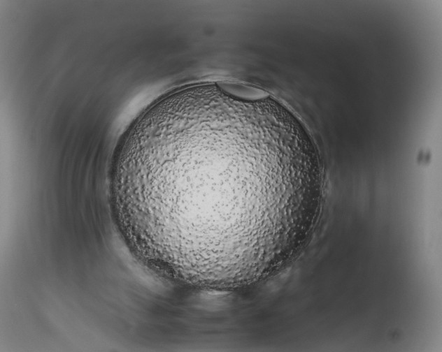 X0000111250055200907091433