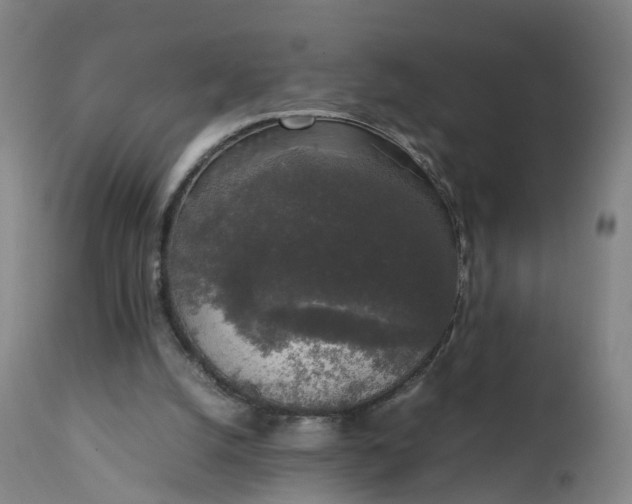 X0000111250056200907091433