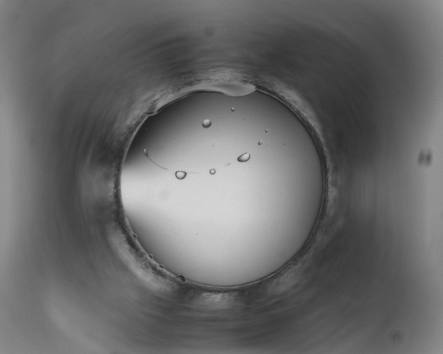 X0000111250057200907091433