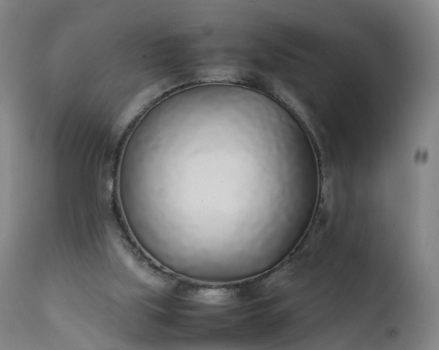 X0000111250059200907091433