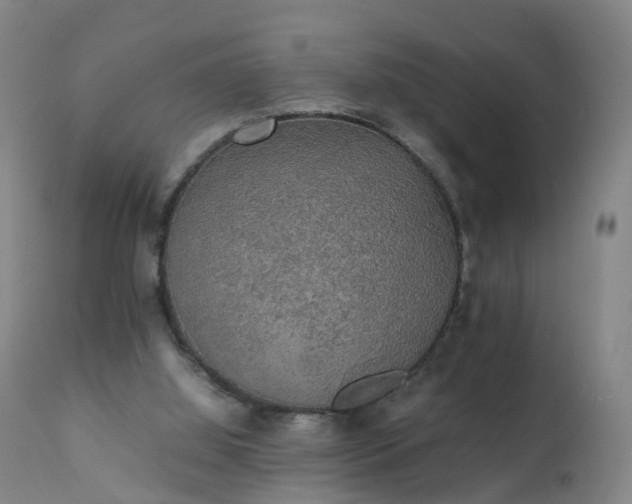 X0000111250060200907091433