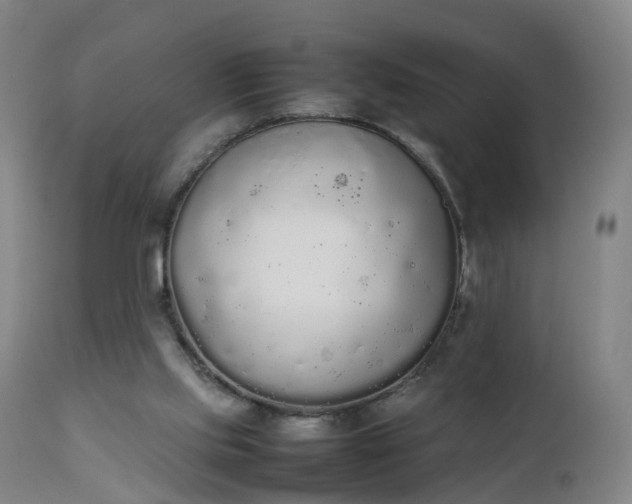 X0000111250061200907091433