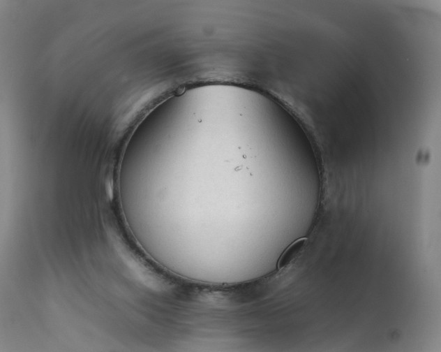 X0000111250062200907091433