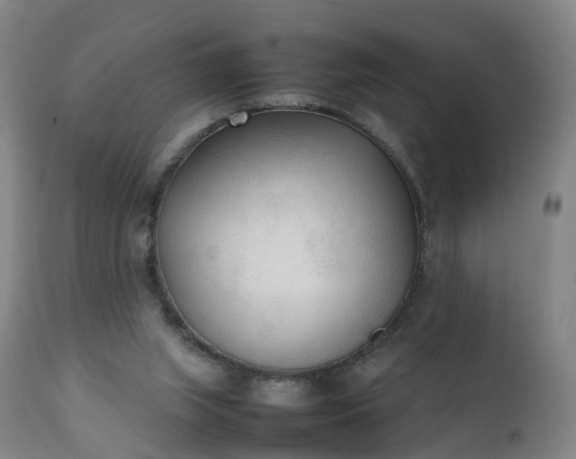 X0000111250063200907091433