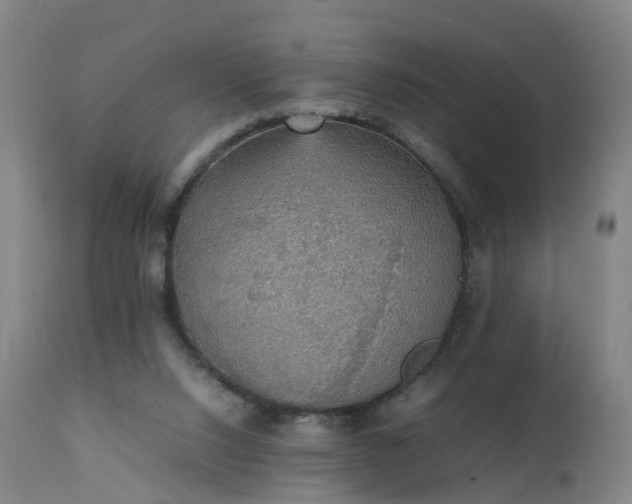 X0000111250064200907091433