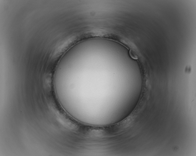 X0000111250066200907091433