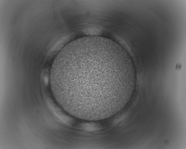 X0000111250069200907091433