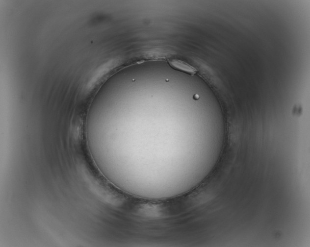 X0000111250071200907091433