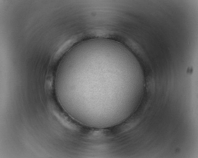 X0000111250072200907091433