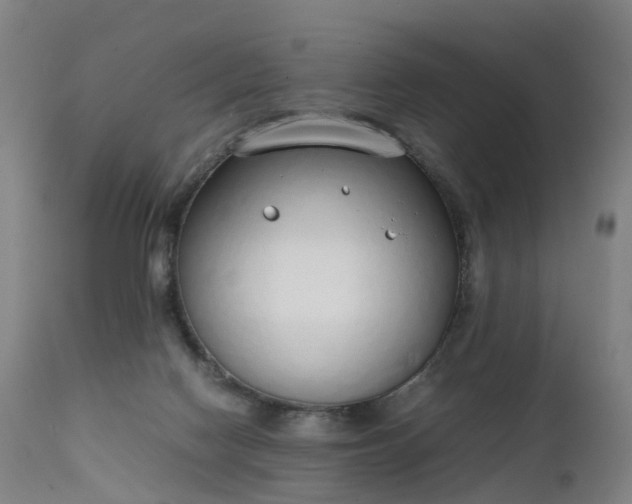 X0000111250074200907091433