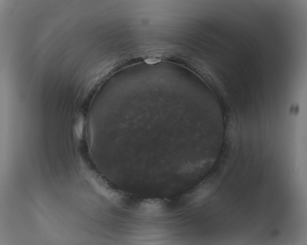 X0000111250076200907091434